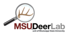 go to MSU Deer Lab web site
